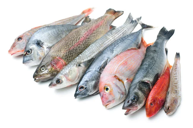 Pescado