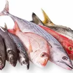 derivados del pescado