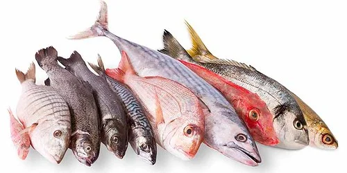 Derivados del Pescado