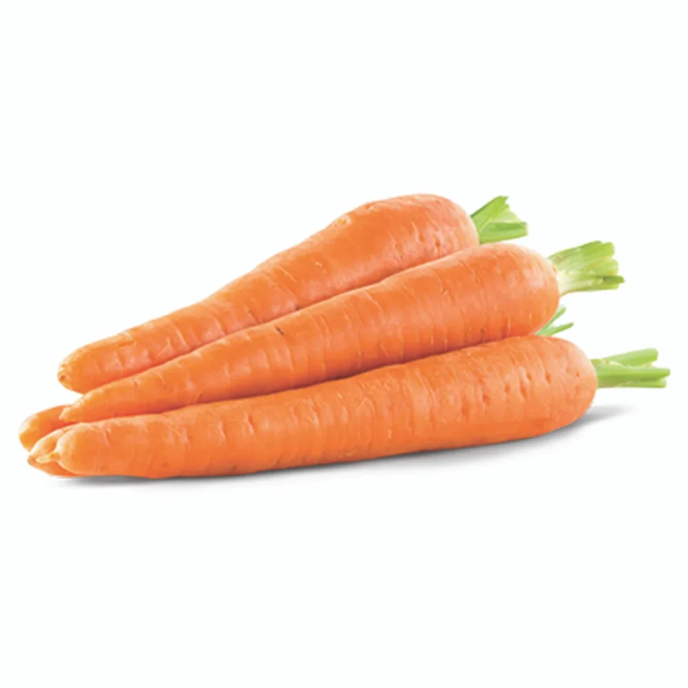Zanahoria