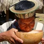 bebidas_de_la_selva