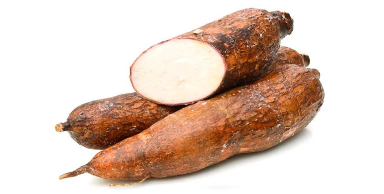 Yuca