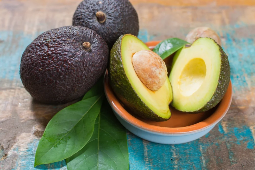 Palta