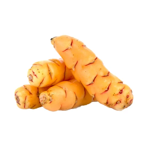 Oca