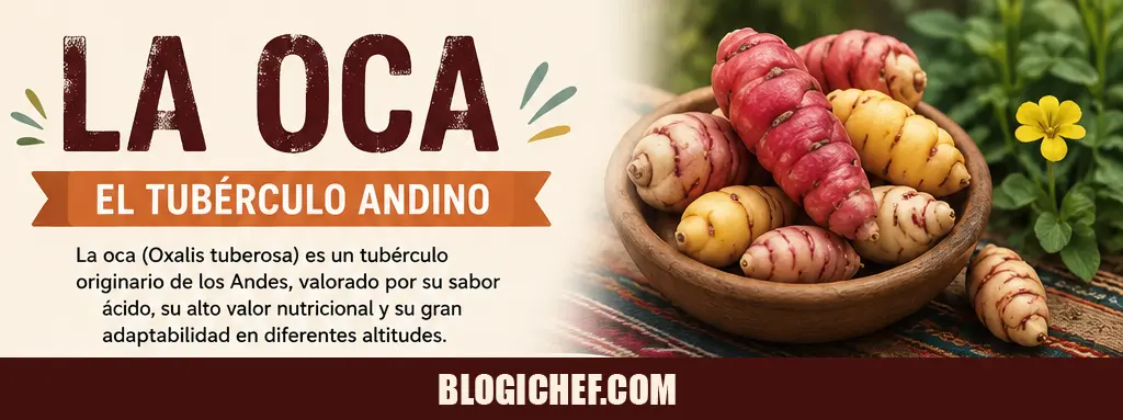 Oca